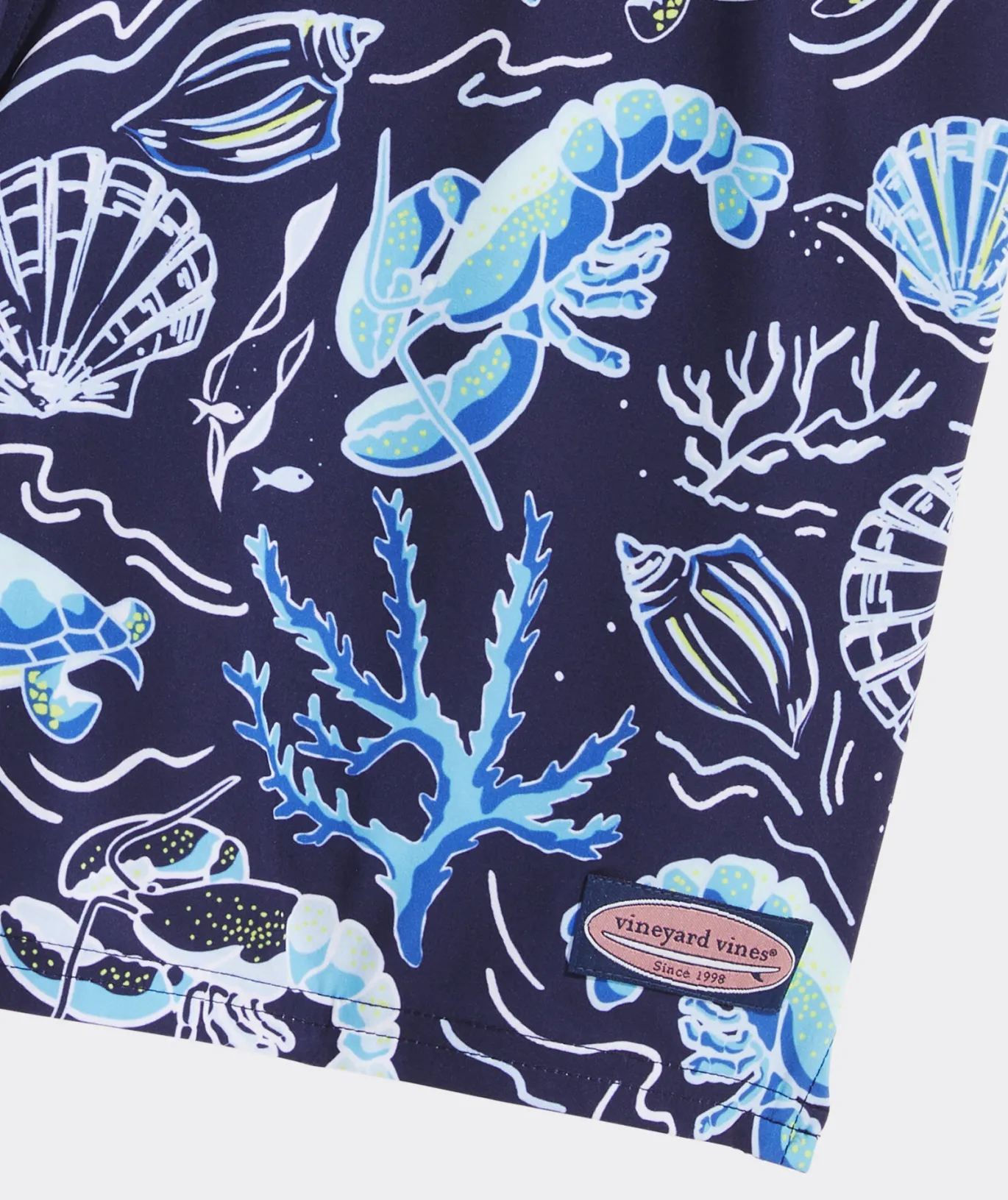 7 Inch Printed Chappy Swim Trunks