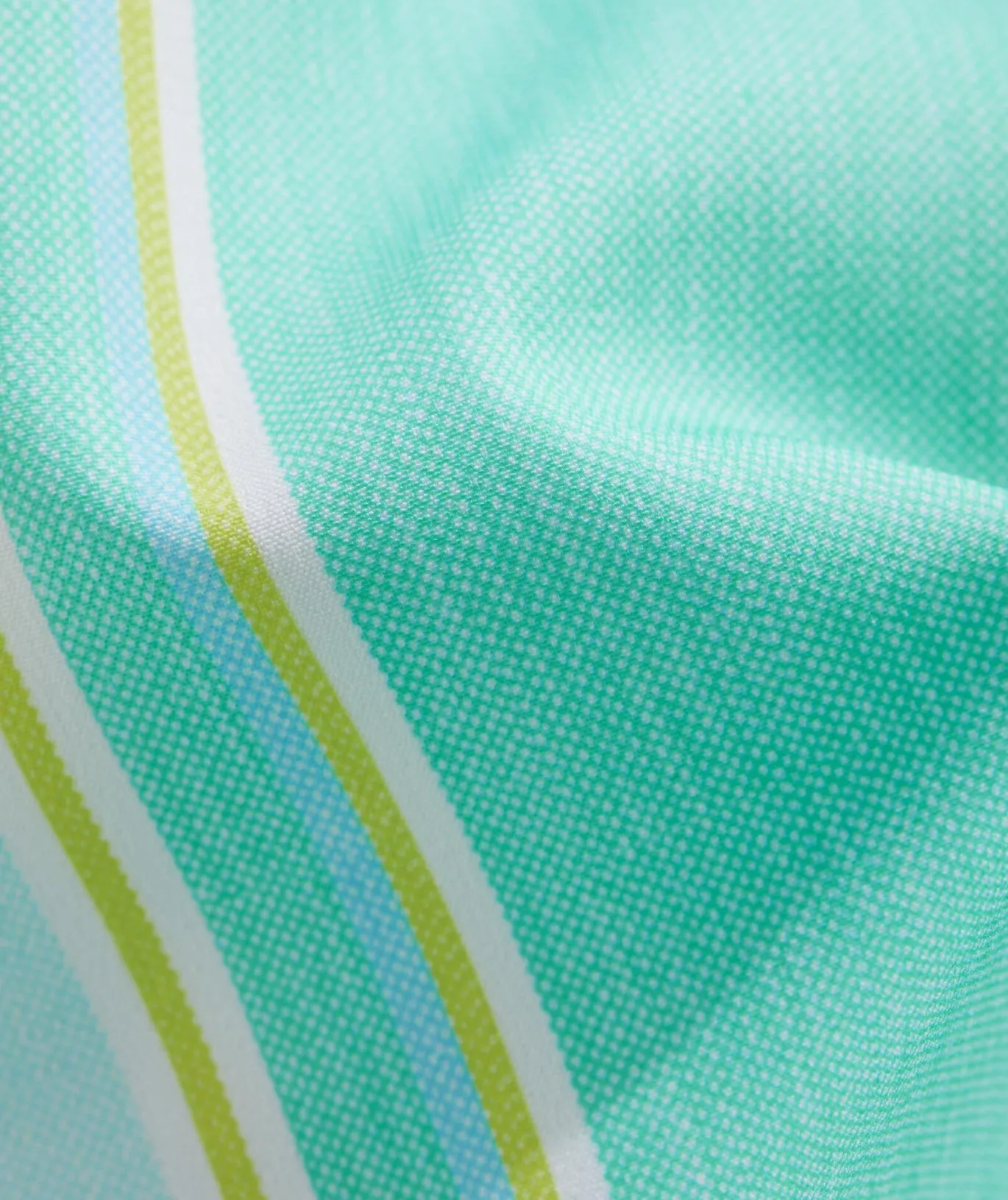 5 Inch Printed Chappy Swim Trunks