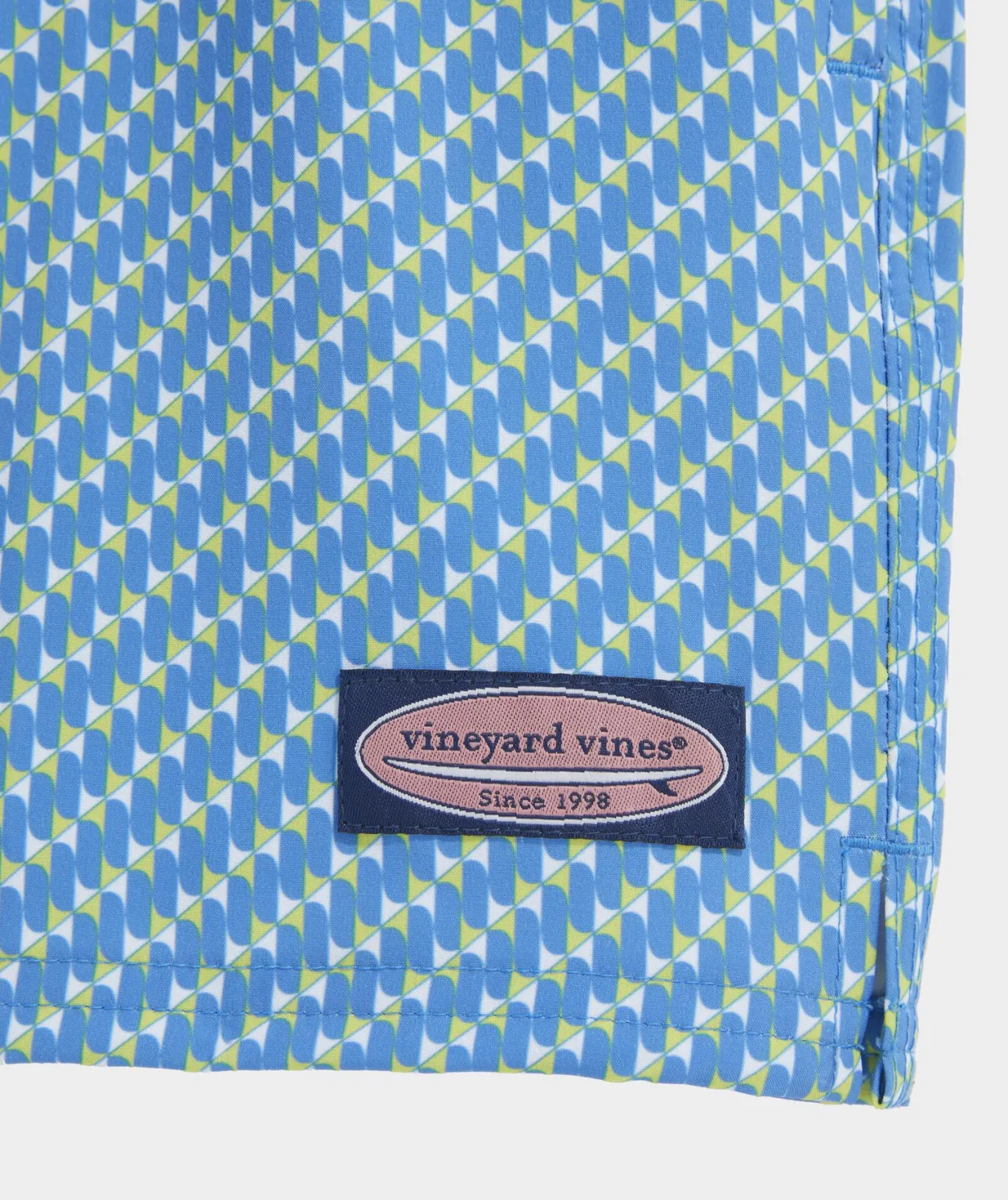 5 Inch Printed Chappy Swim Trunks
