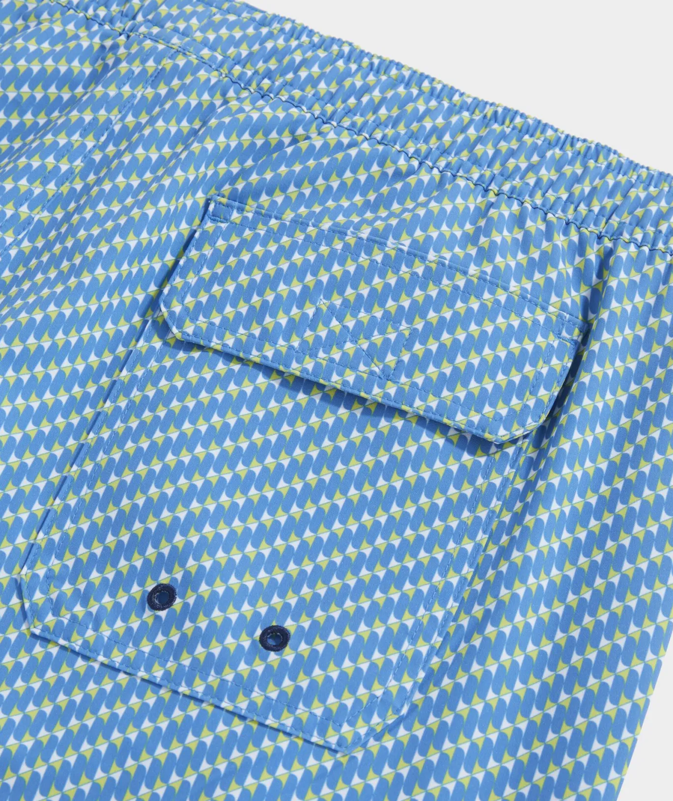 5 Inch Printed Chappy Swim Trunks