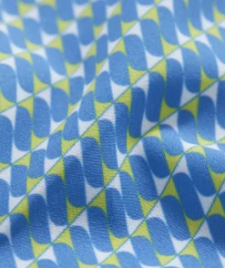 5 Inch Printed Chappy Swim Trunks
