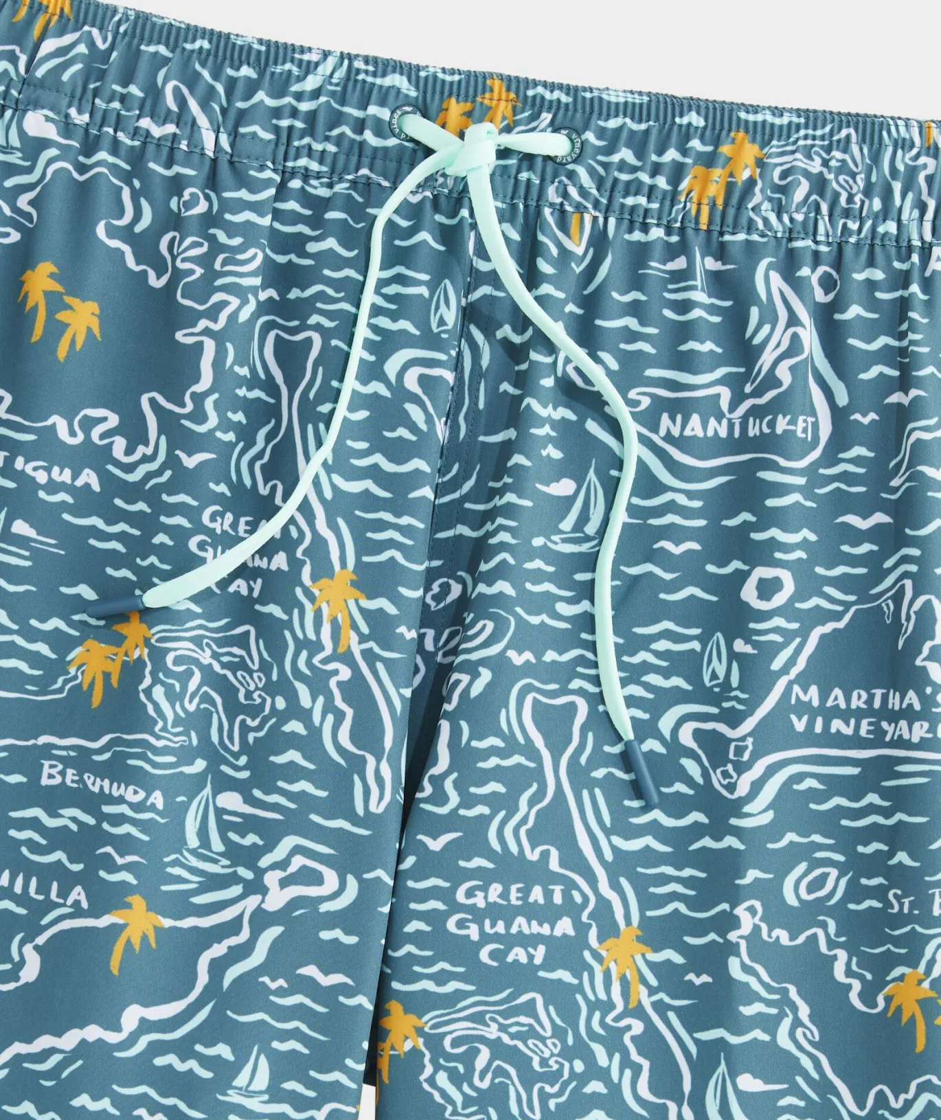 7 Inch Printed Chappy Swim Trunks
