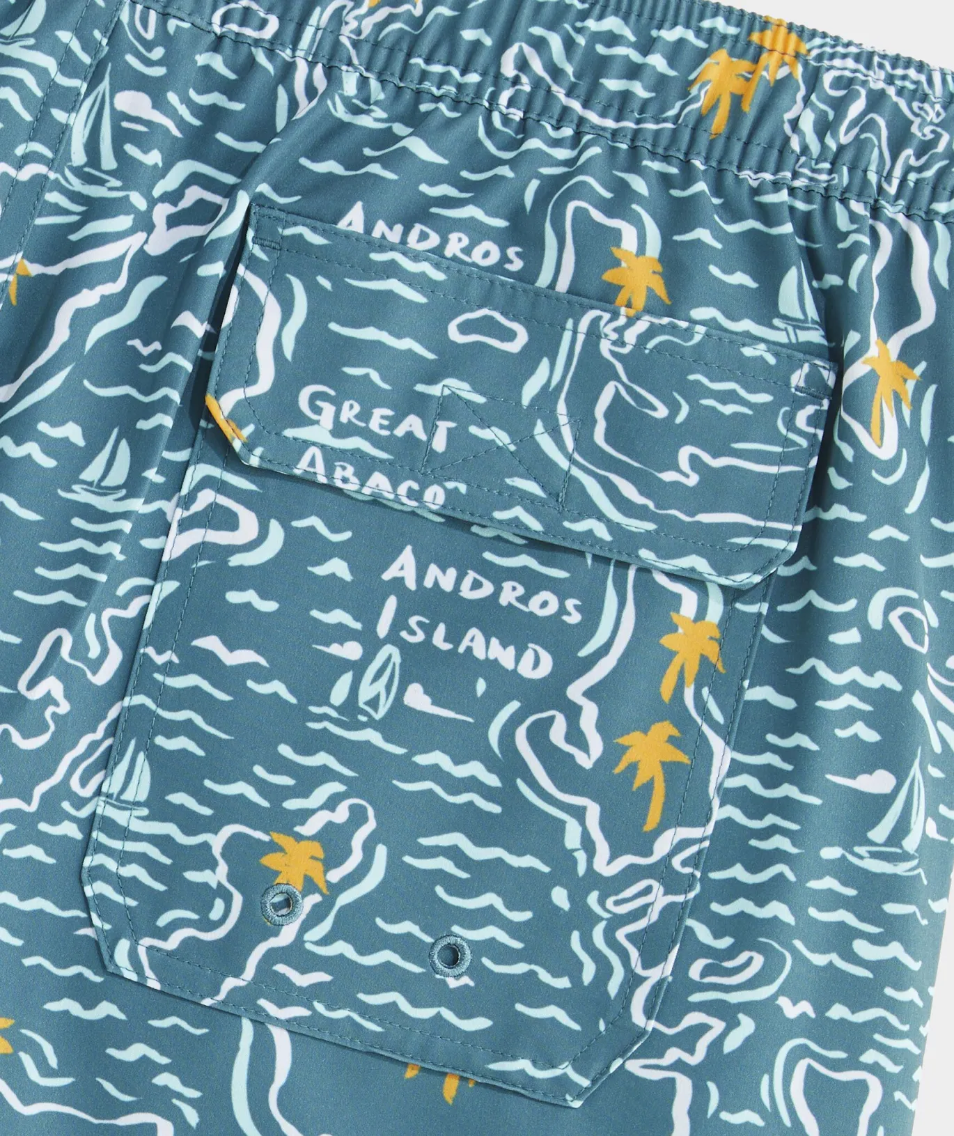 7 Inch Printed Chappy Swim Trunks