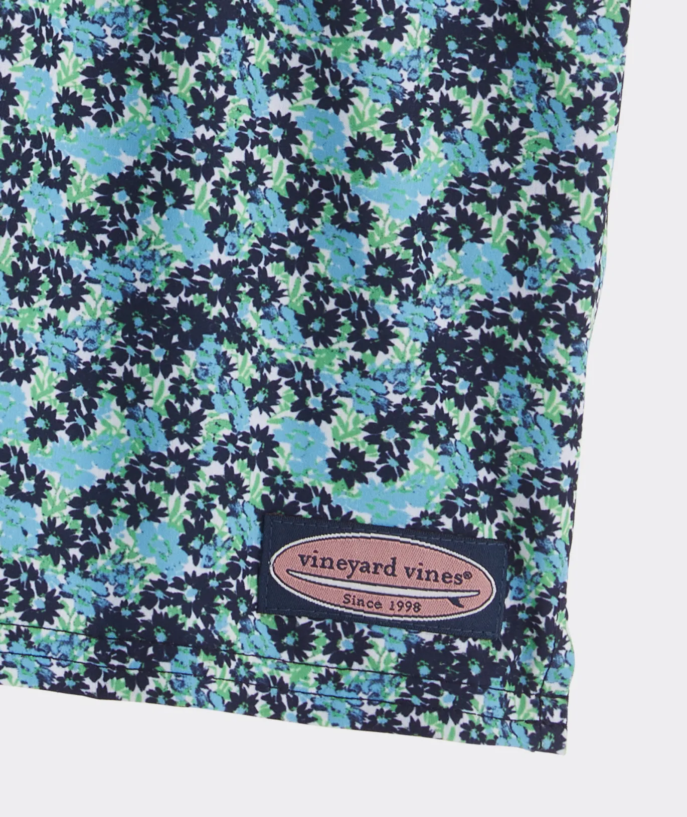 Boys' Printed Chappy Trunks