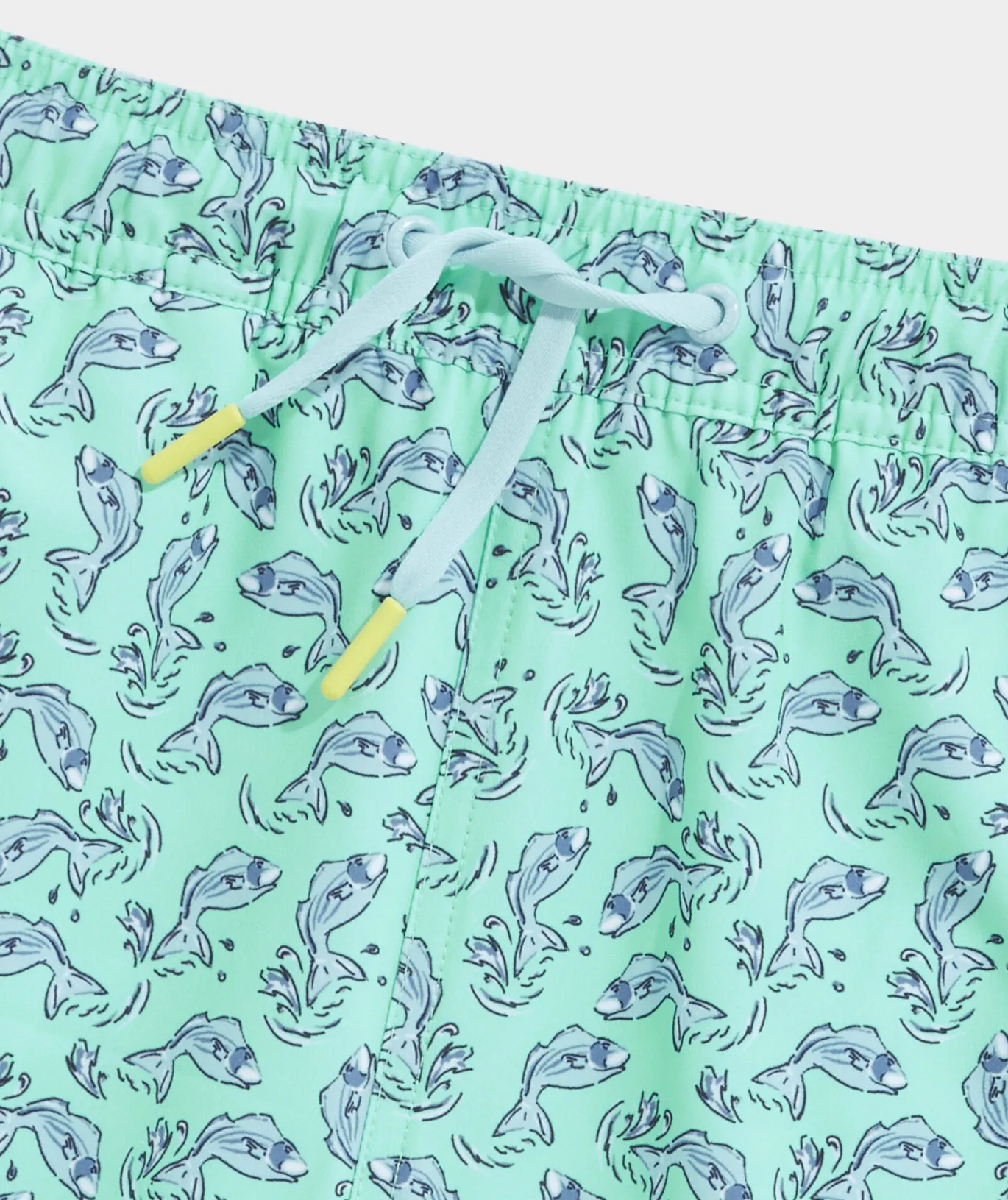 Boys' Printed Chappy Trunks