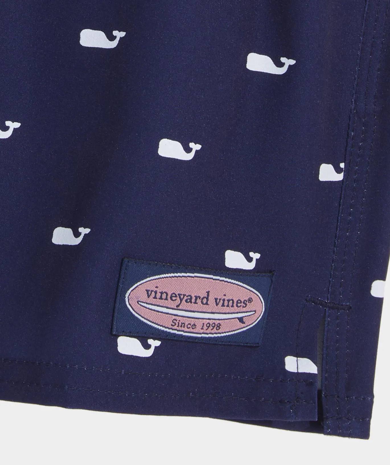 Boys' Printed Chappy Trunks