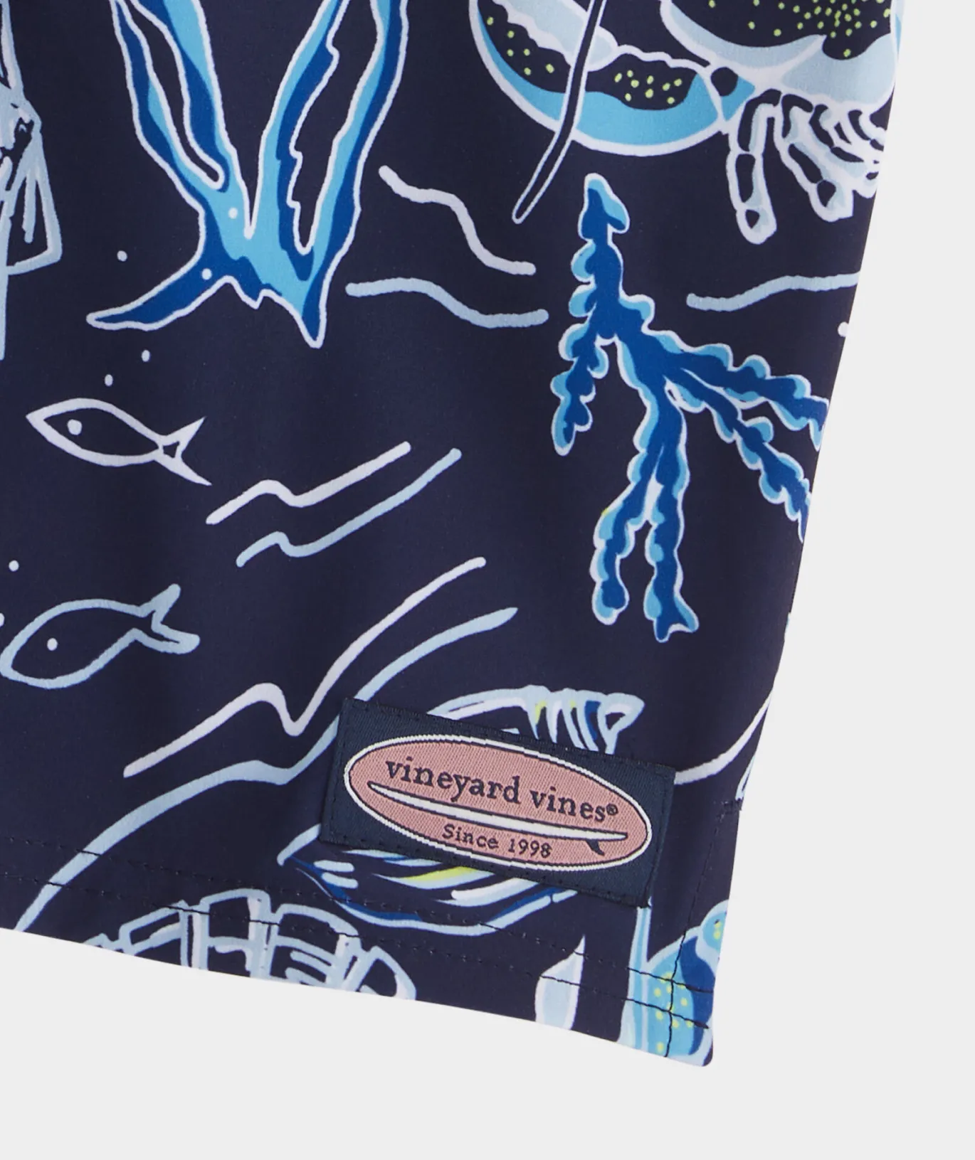 Boys' Printed Chappy Trunks