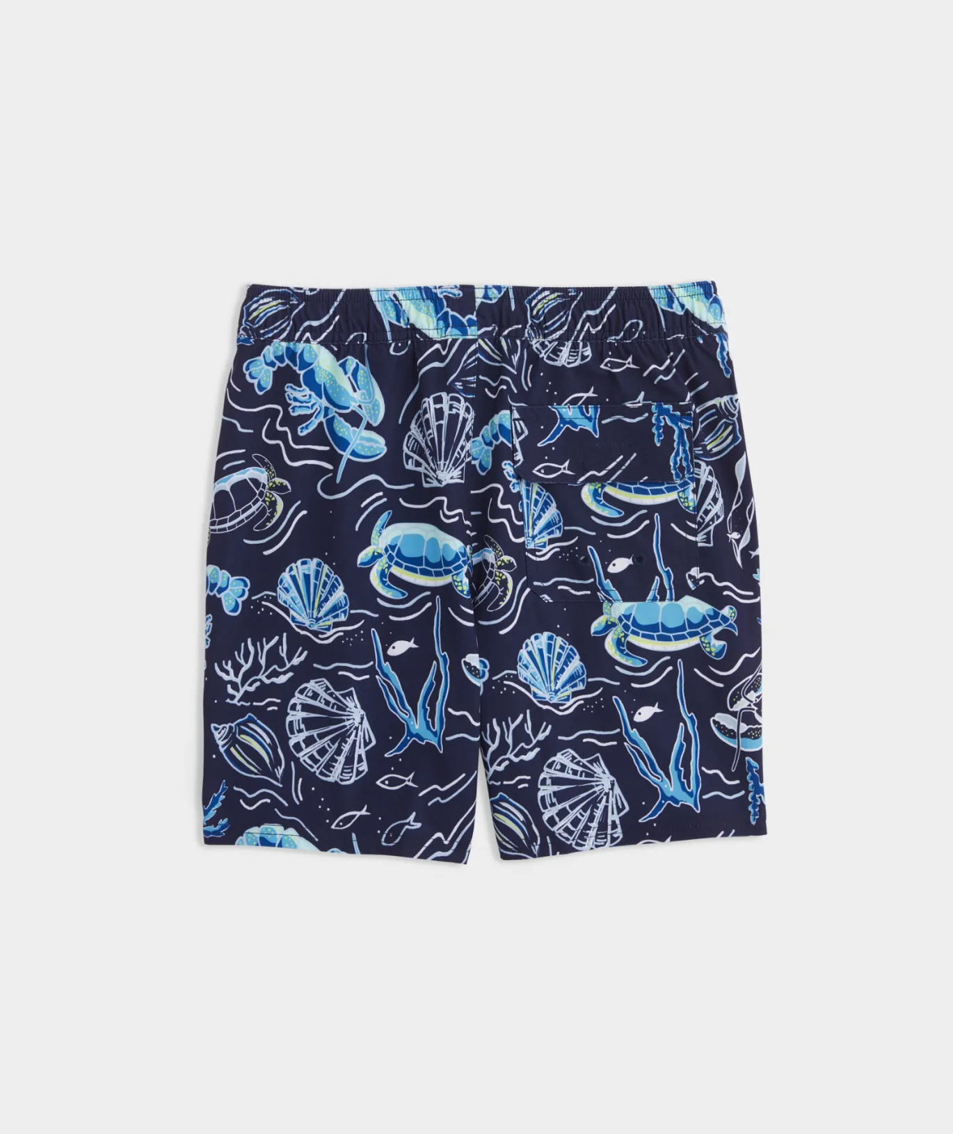 Boys' Printed Chappy Trunks
