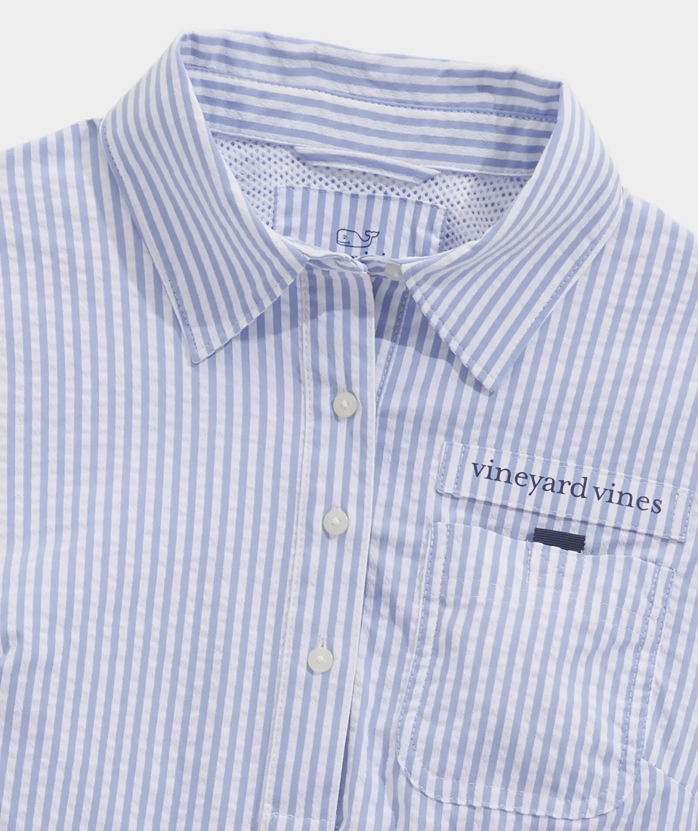 Palmero Polo
