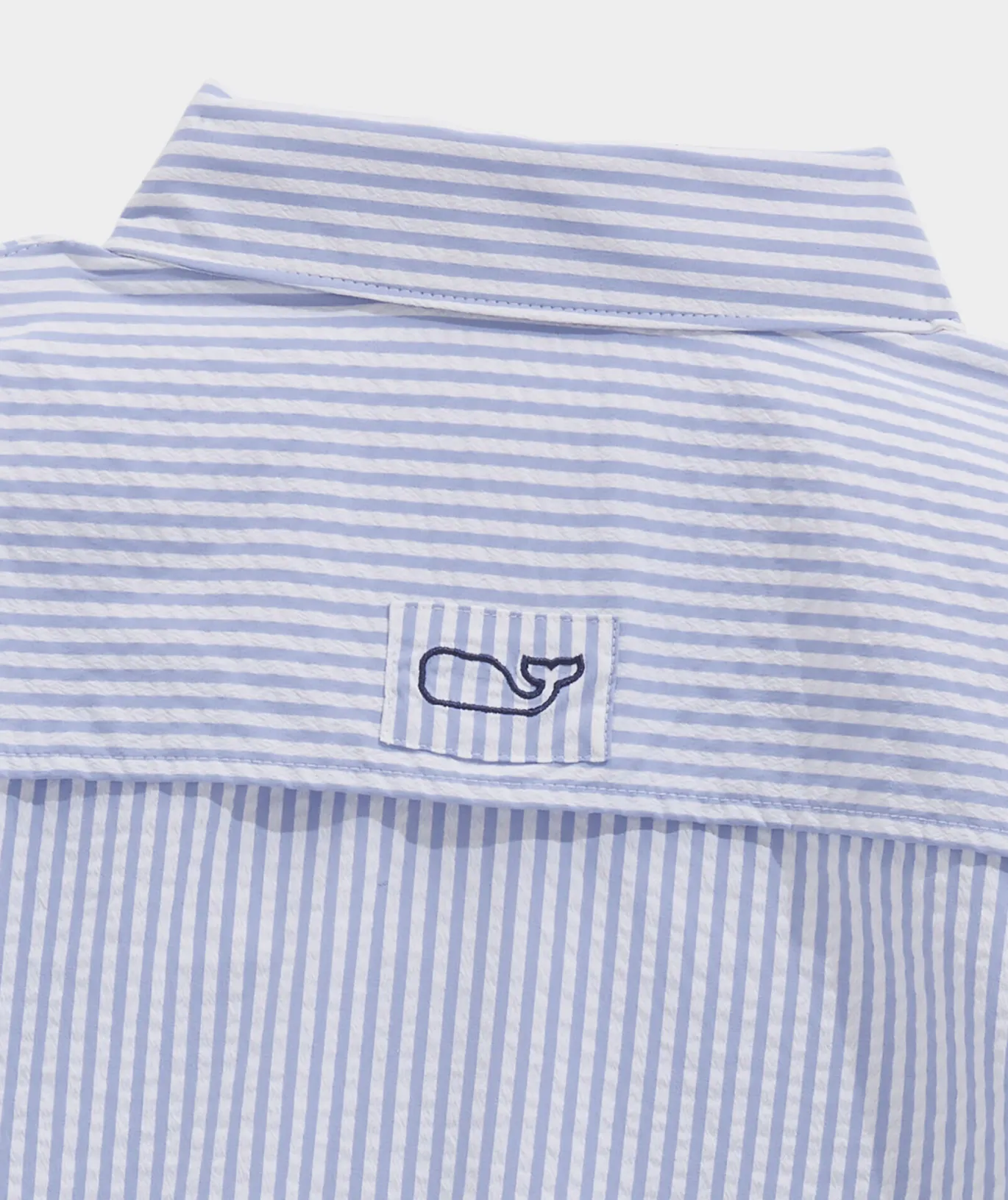 Palmero Polo