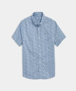 Palmero Polo