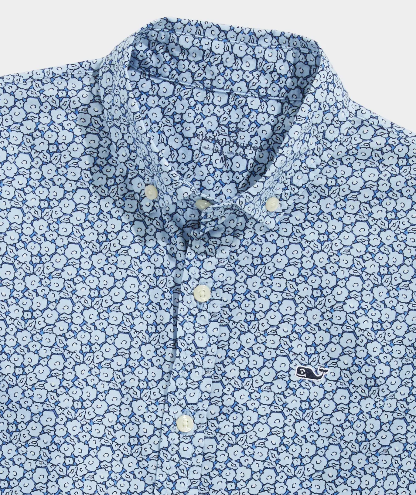 Palmero Polo